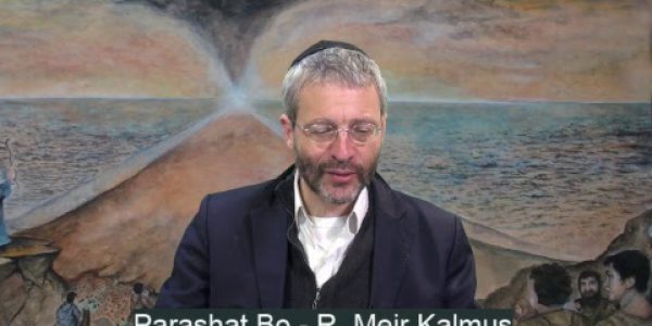 Parashat Bo – Ao Vivo R Meir Kalmus